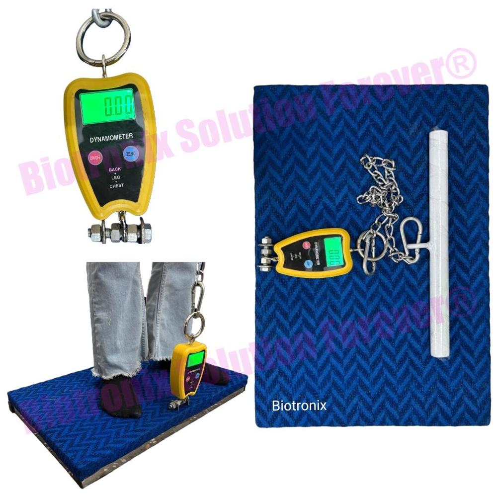 Digital Back, Leg & Chest Dynamometer for Muscle Strength Assessment and Rehabilitation