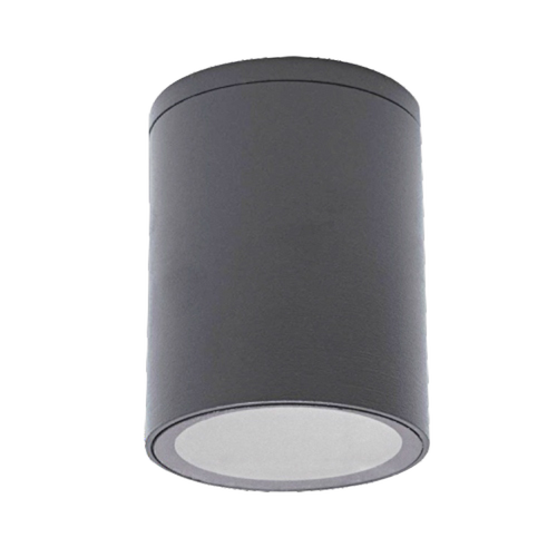 LED Ceiling Light