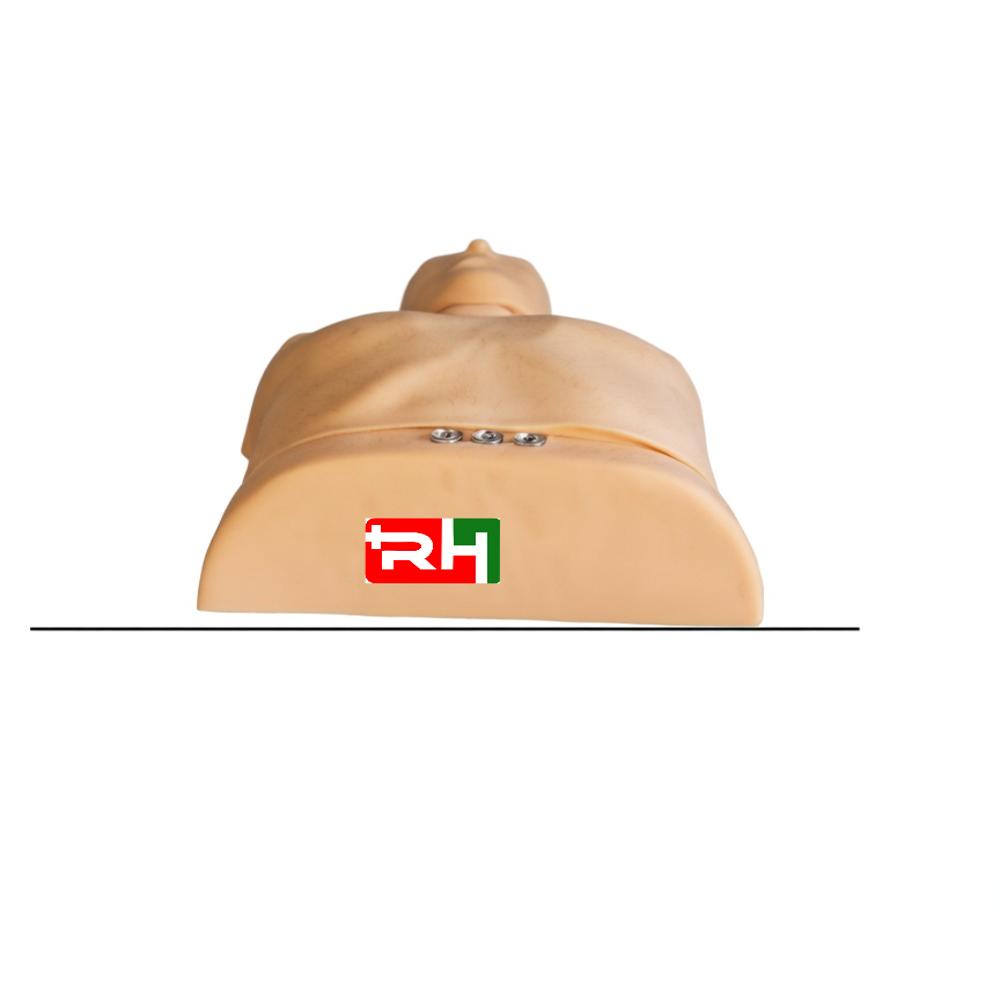 Cpr Manikins - Application: Laboratory