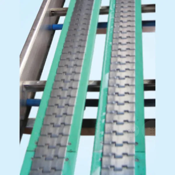 Two Row Slat Chain Conveyors - Features: Heavy-Duty