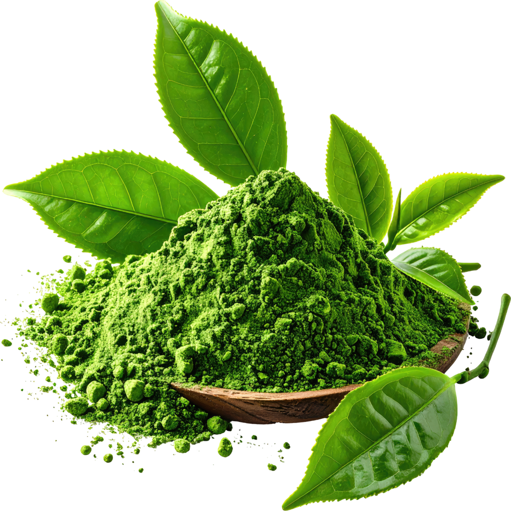 Natural indigo powder for hair
