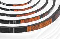 Industrial V-Belts