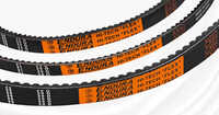 Cogged Raw Edge V-belts