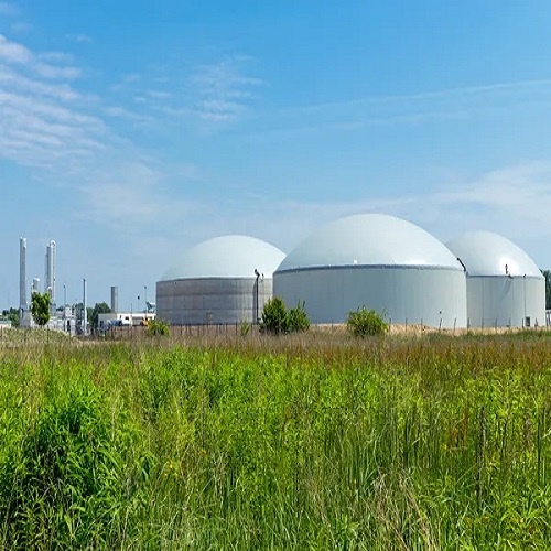 Compressed Biogas Cbg - Capacity: 2.5 Kg