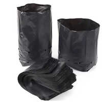 Hdpe Nursery Bags