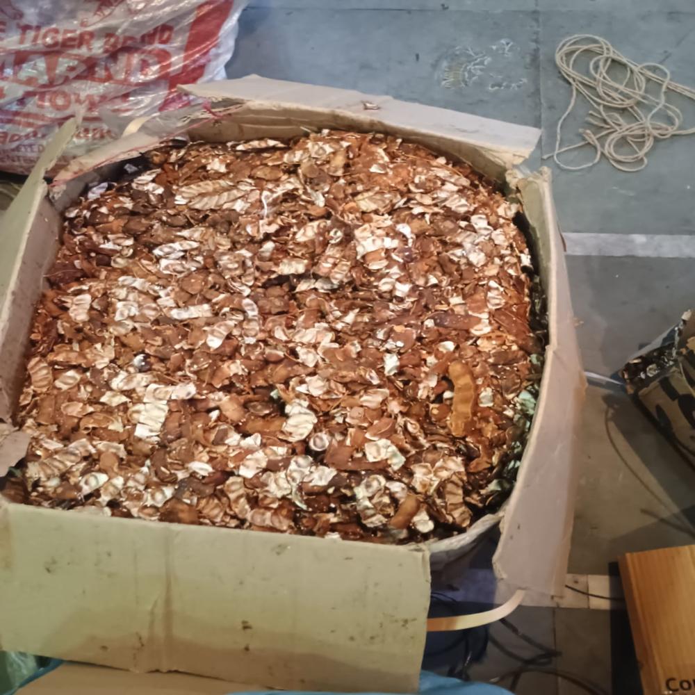 Export-Quality Premium Light Brown Seedless Tamarind (Fresh Imli Pulp) - Bulk Carton Pack