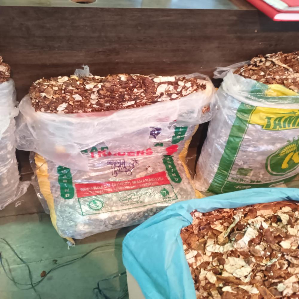 Export-Quality Premium Light Brown Seedless Tamarind (Fresh Imli Pulp) - Bulk Carton Pack