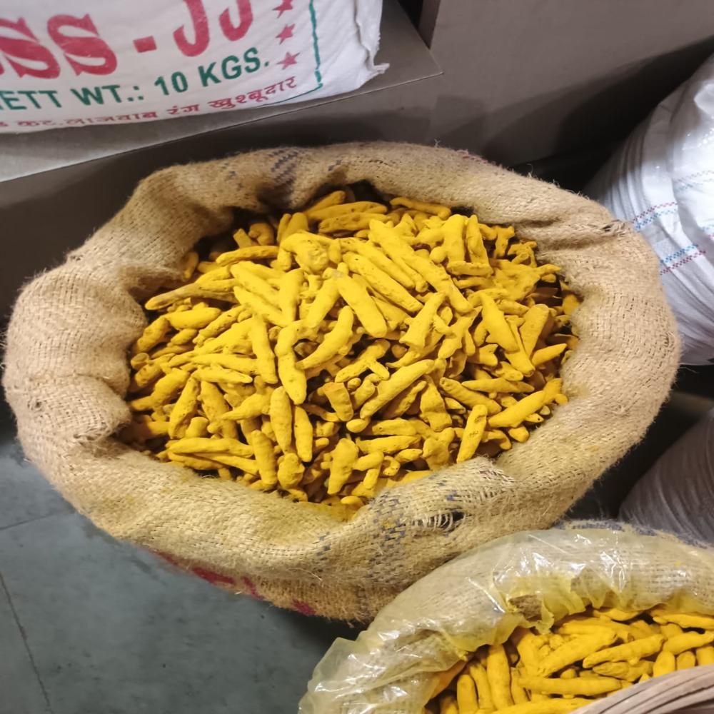 Premium Export-Quality Salem Turmeric Fingers (Whole Haldi Gatta) - Bulk Jute Pack