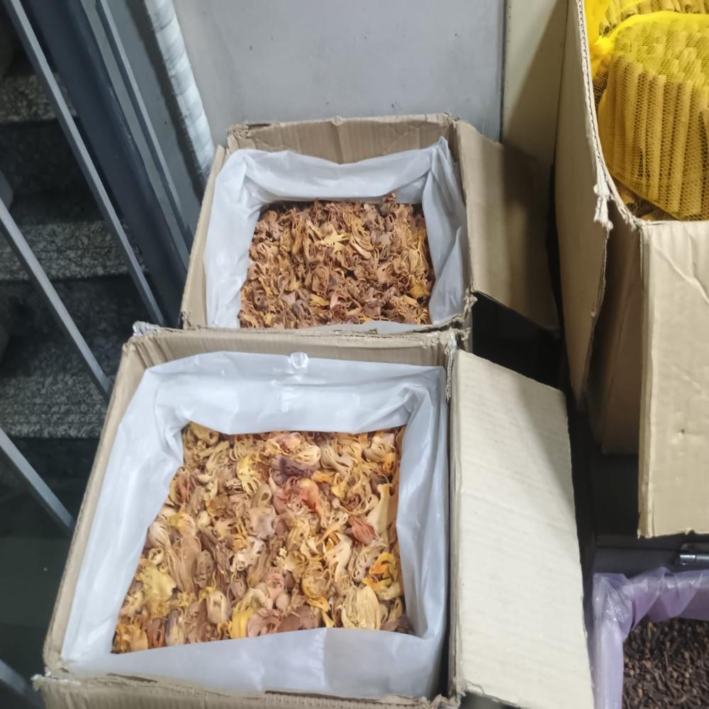 Export-Quality Premium Whole Mace Flower (Javitri Whole) - Bulk Box Pack