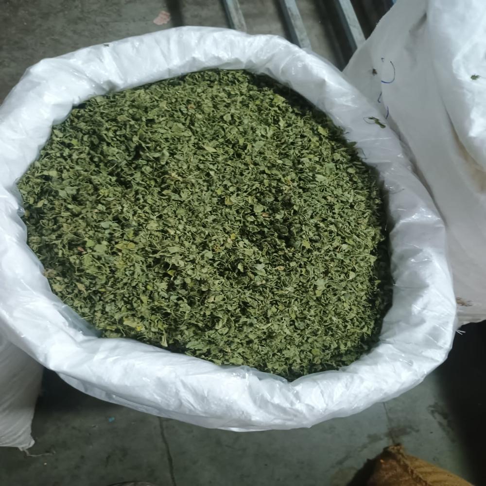 Premium Export-Quality Sun-Dried Kasuri Methi (Dried Fenugreek Leaves) - Bulk Pack