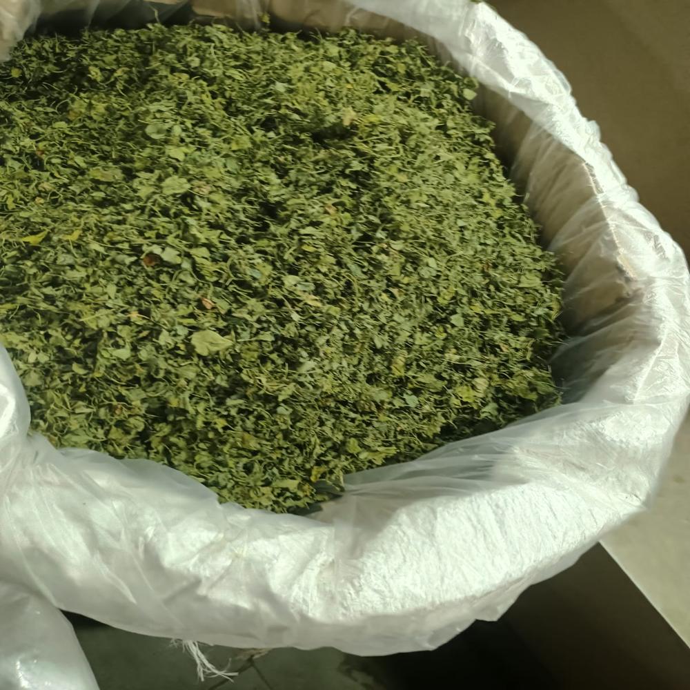 Premium Export-Quality Dried Fenugreek Leaves (Kasuri Methi Flakes) - Bulk Carton Pack