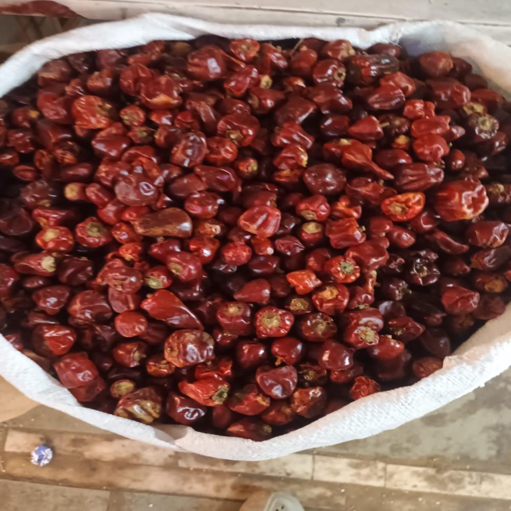 Premium Export-Quality Whole Mundu Chilli (Ramnad Sannam / Round Chilli) - Bulk Pack