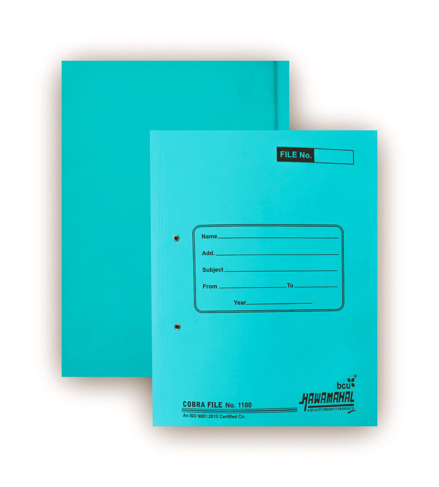 Hawamahal  File