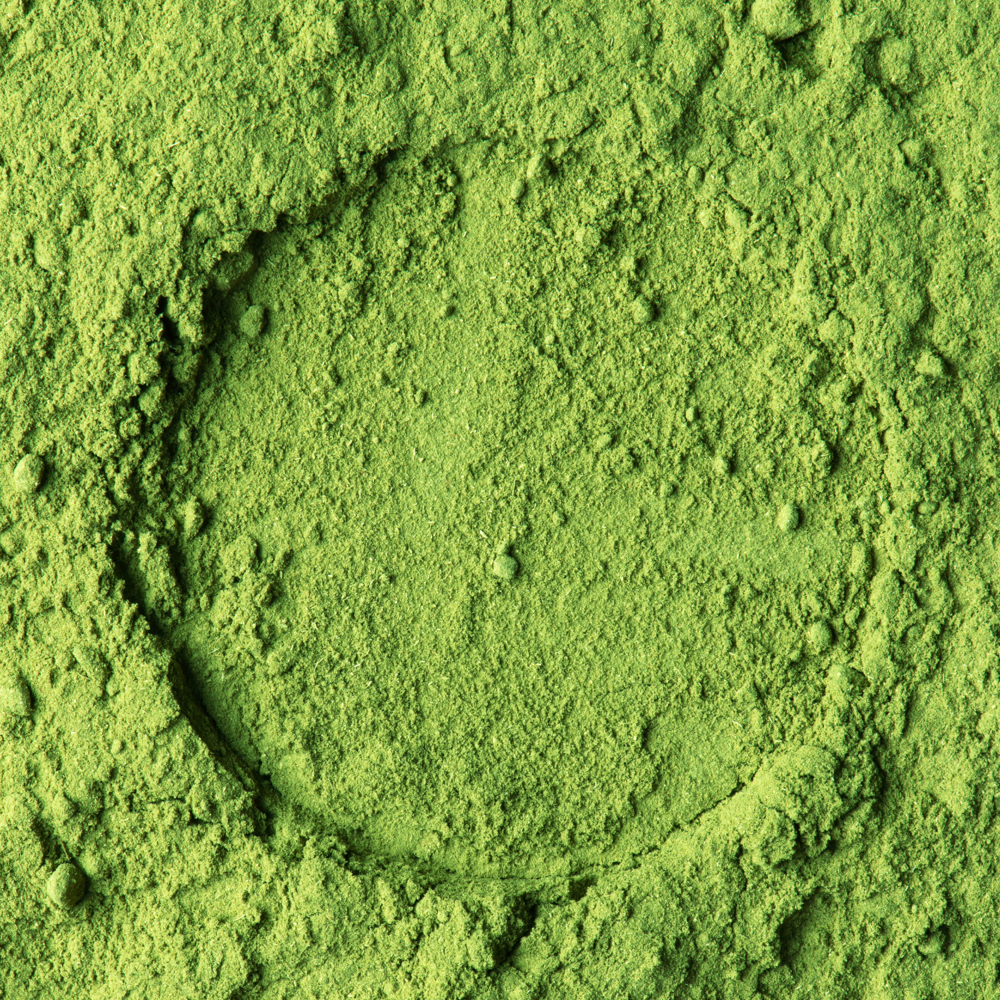 Indigo Powder Wholesale Supplier