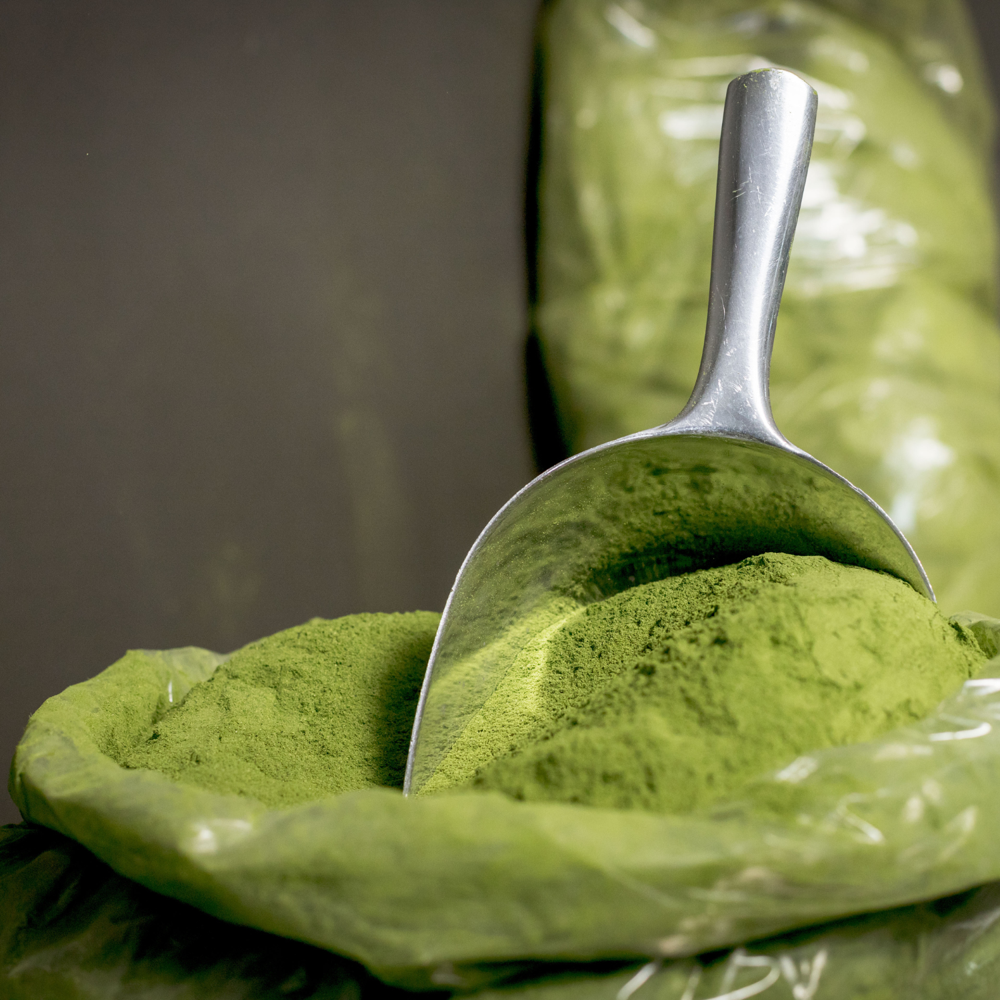 Indigo Powder Wholesale Supplier
