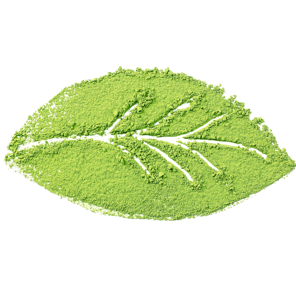 Indigo Powder for Cosmetic Use