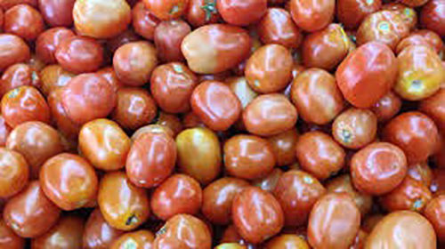 Fresh Vegetables