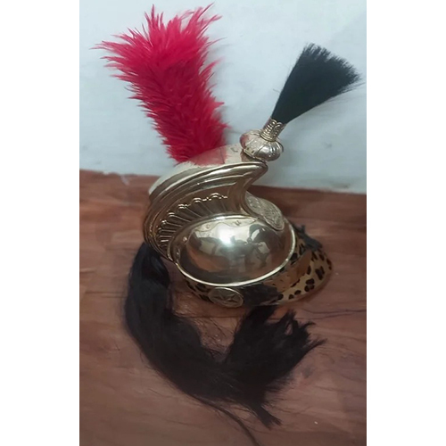 French Officers Dragoon Helmet