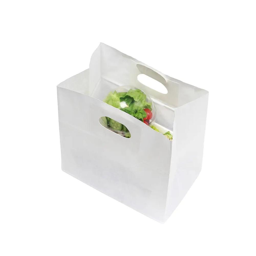 Food Carry Bag 