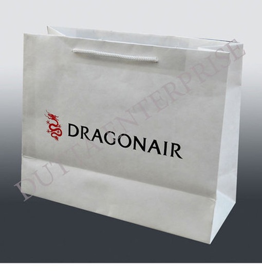 Eco-friendly Printed Paper Bag