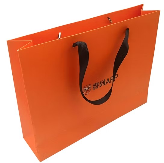 Custom Gift Packaging Paper Shopping Bag Carry Bag with Ribbon Handle