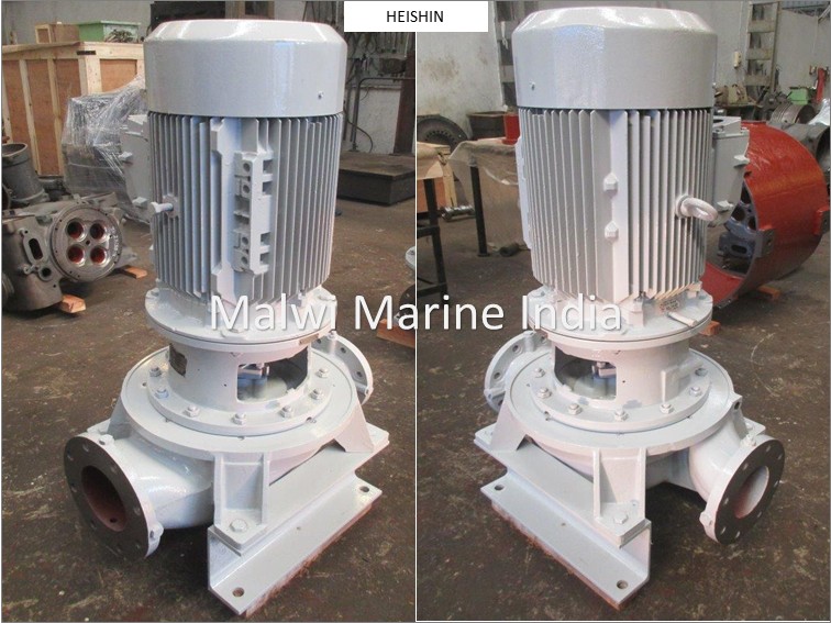 HEISHIN-VK, VSK, HK, HSN - PUMP