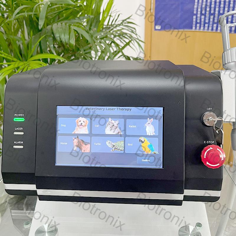Advanced Black Class IV Laser Therapy Device for Physiotherapy