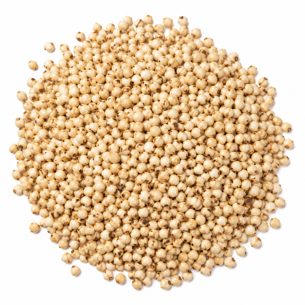 Sorghum Grain