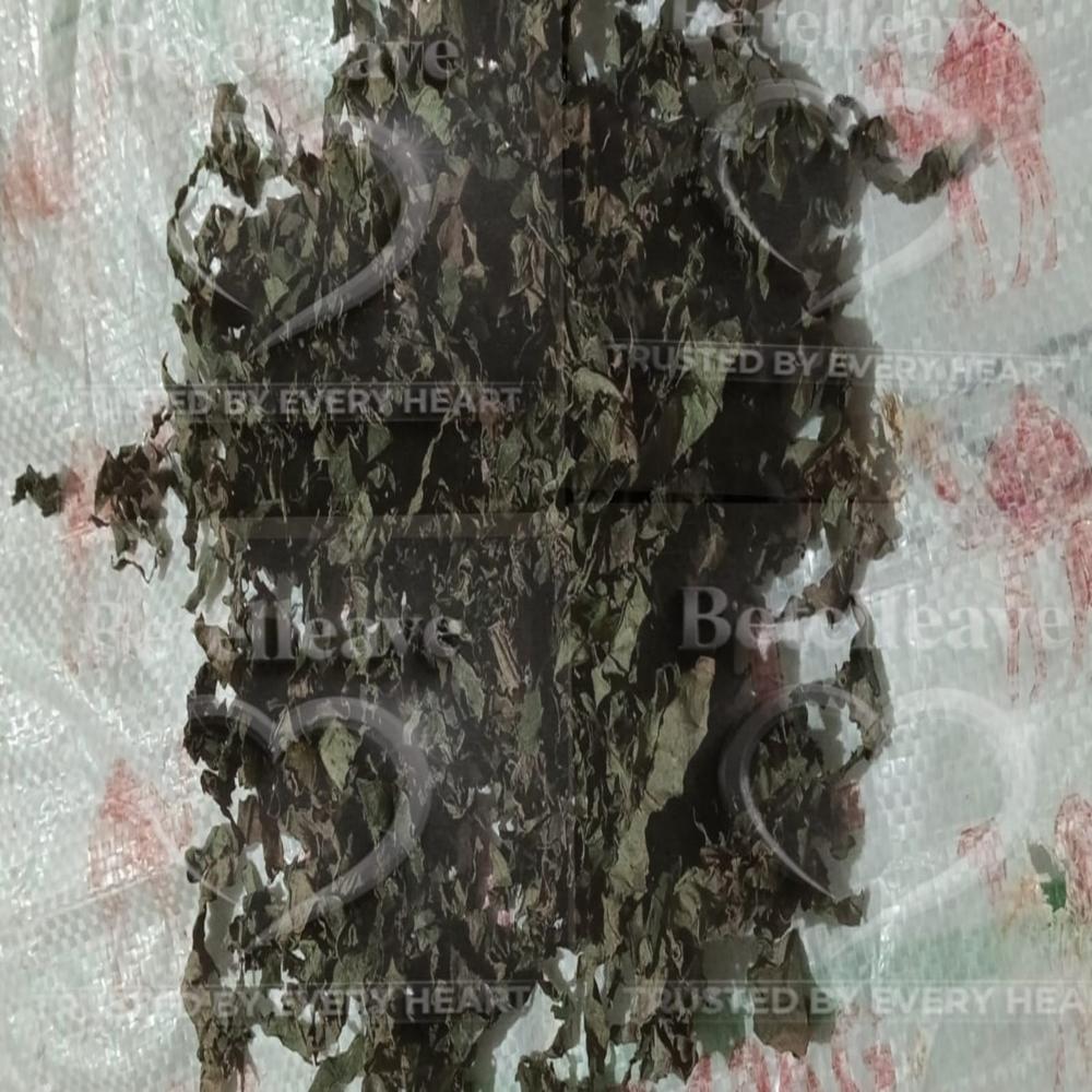Dry / Dried Betel Leaf