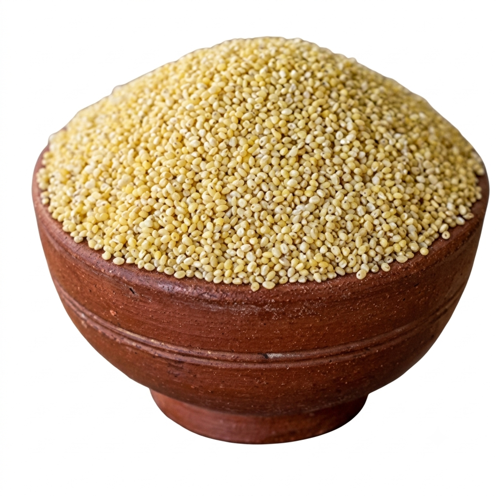 Little millet