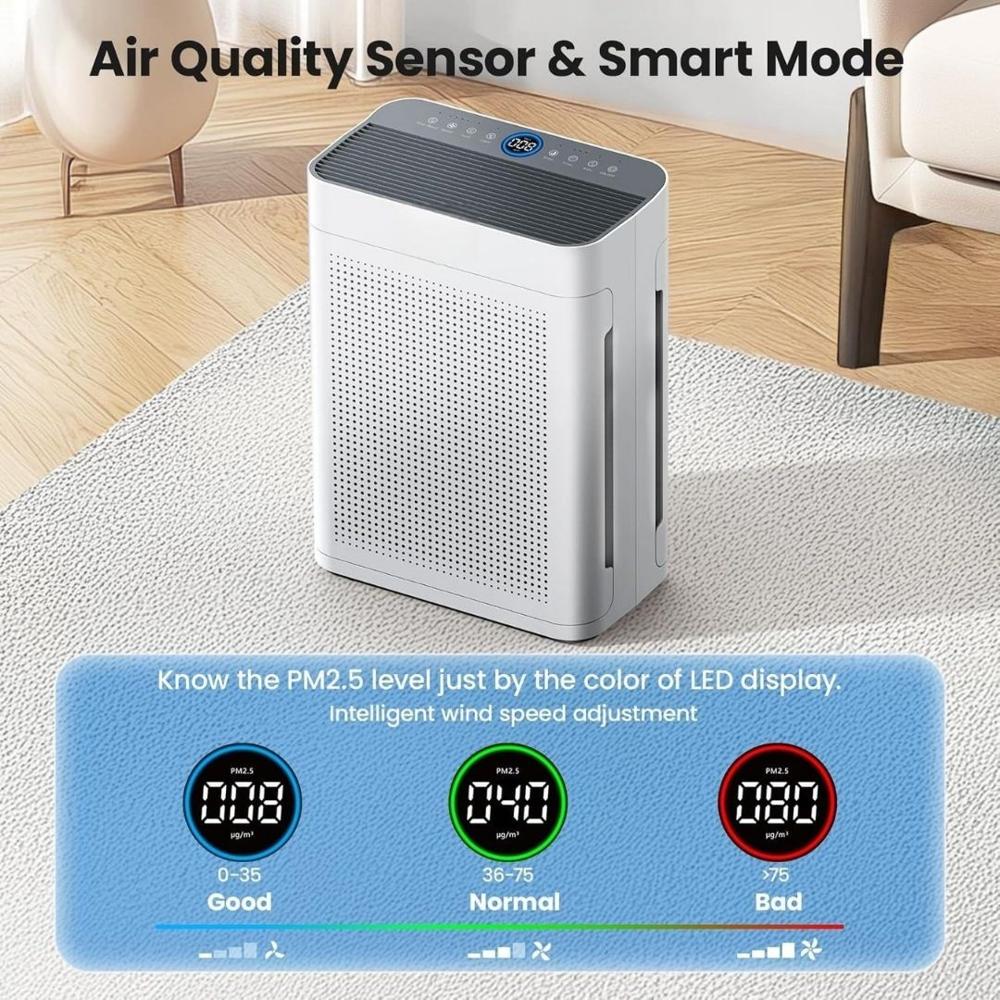 Air Purifier for Large Room