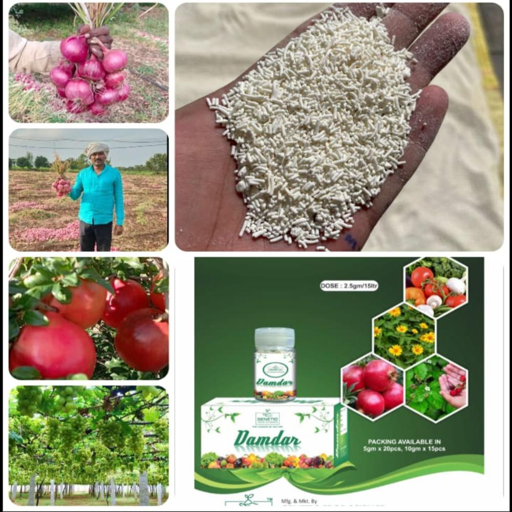 Plant Growth Regulator