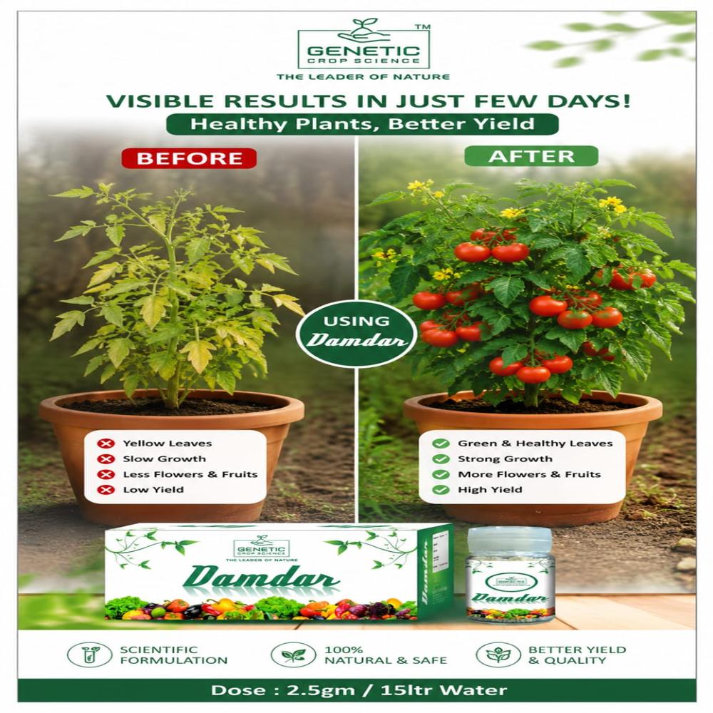 Plant Growth Regulator