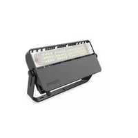 Philips EcoVision LED Flood Light