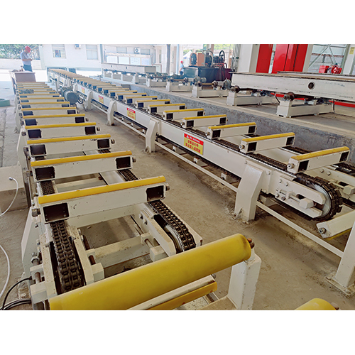 Chain Conveyor