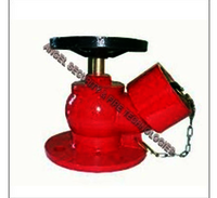 Fire Hydrant Valve
