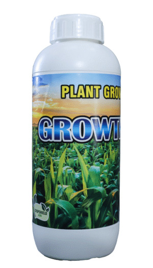 GROWTH FASTER