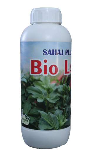 SAHAJ PLUS  LARVA RUN