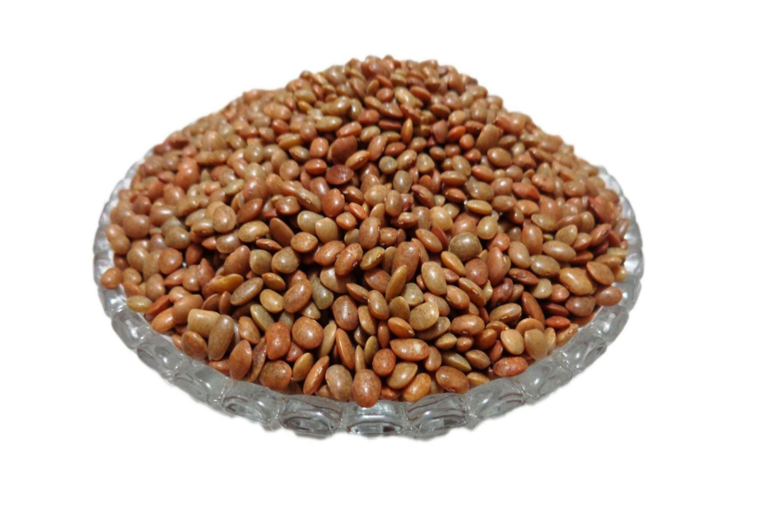 Horse gram Horse gram