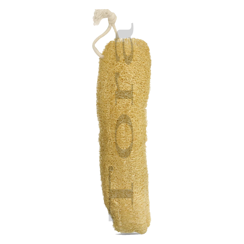 Tora Natural Long Loofah Bath Scrubber Export Quality Naturally Dried (TCL0009 )