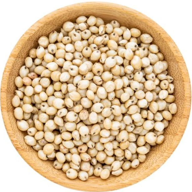 White Sorghum