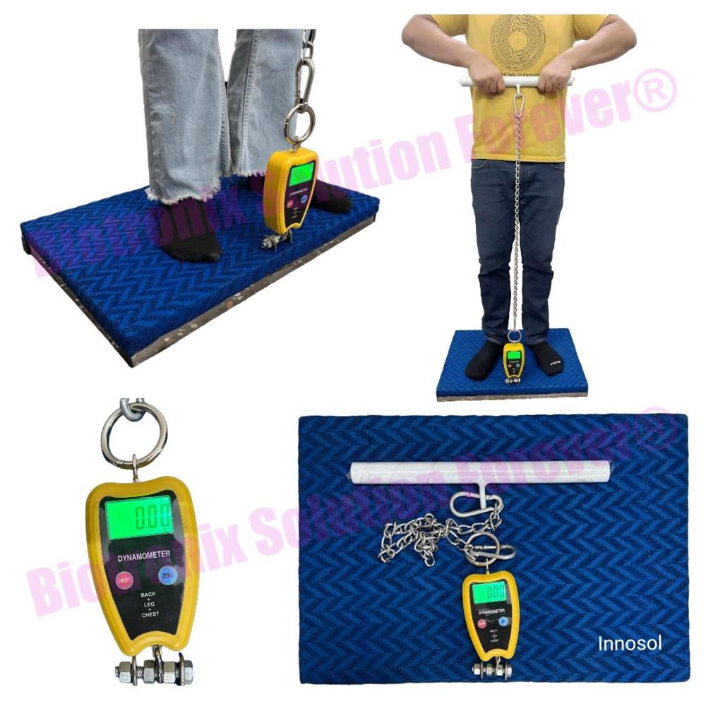 Digital Back Leg Chest Dynamometer for Muscle Strength Testing