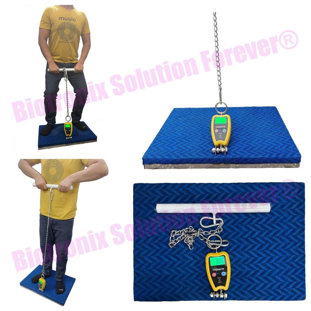 Digital Back Leg Chest Dynamometer for Muscle Strength Testing