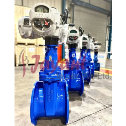 Industrial Actuated Valves