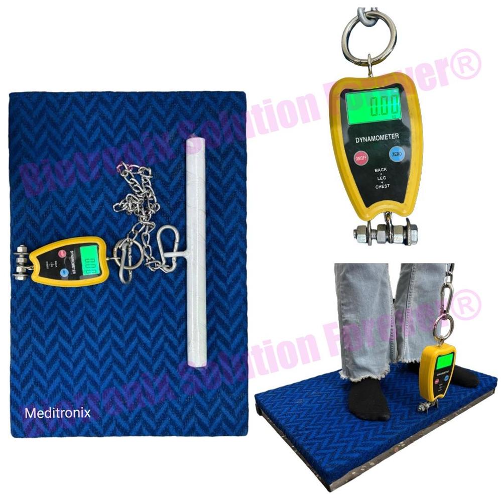 Professional Back Leg Chest Dynamometer For Physiotherapy - Accuracy: 0.5% Fs Mg