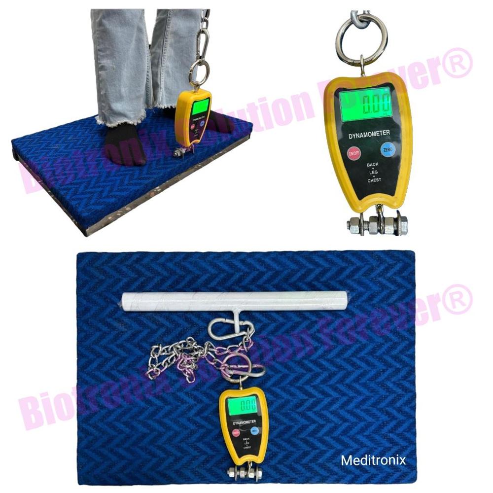 Professional Back Leg Chest Dynamometer for Physiotherapy