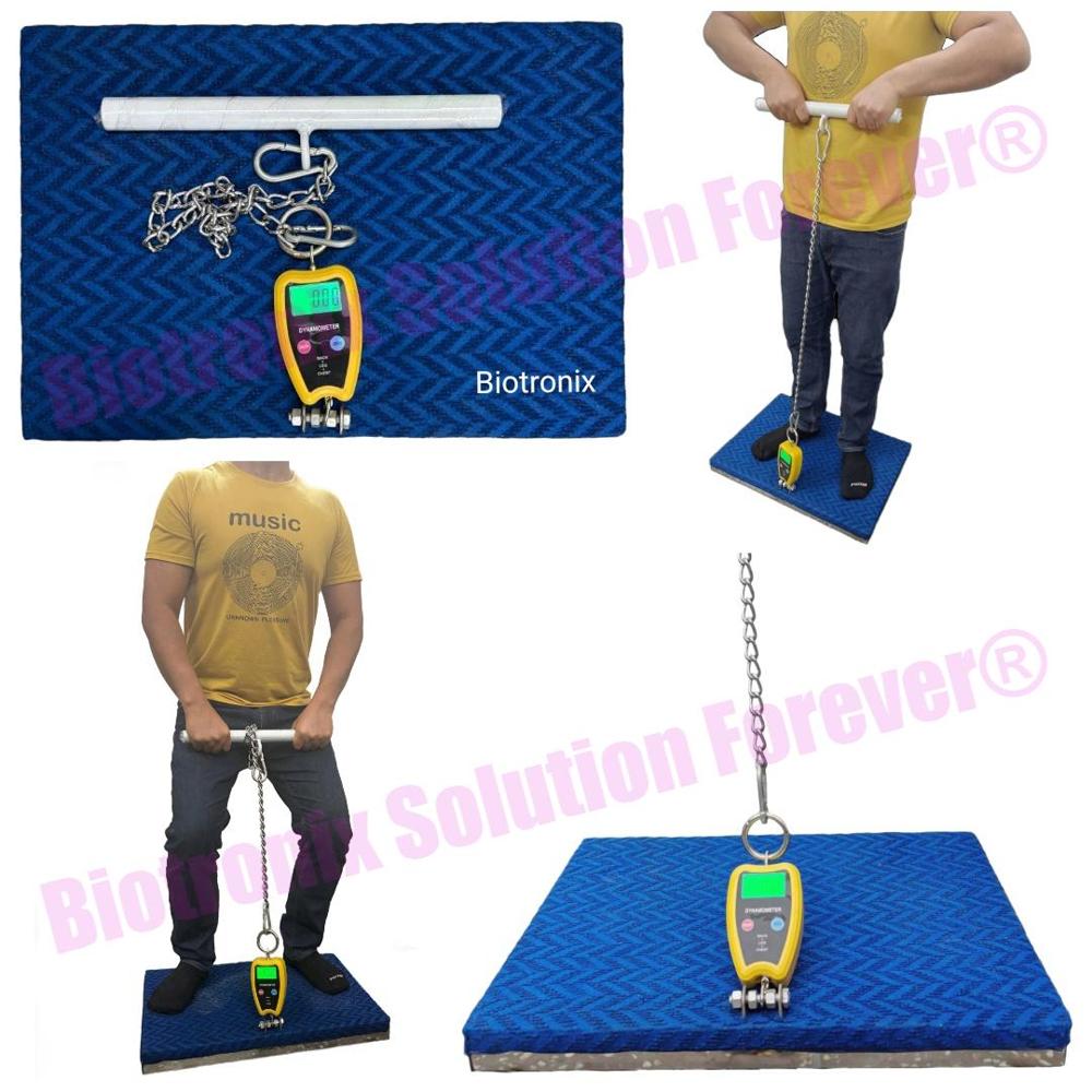 Professional Back Leg Chest Dynamometer for Physiotherapy
