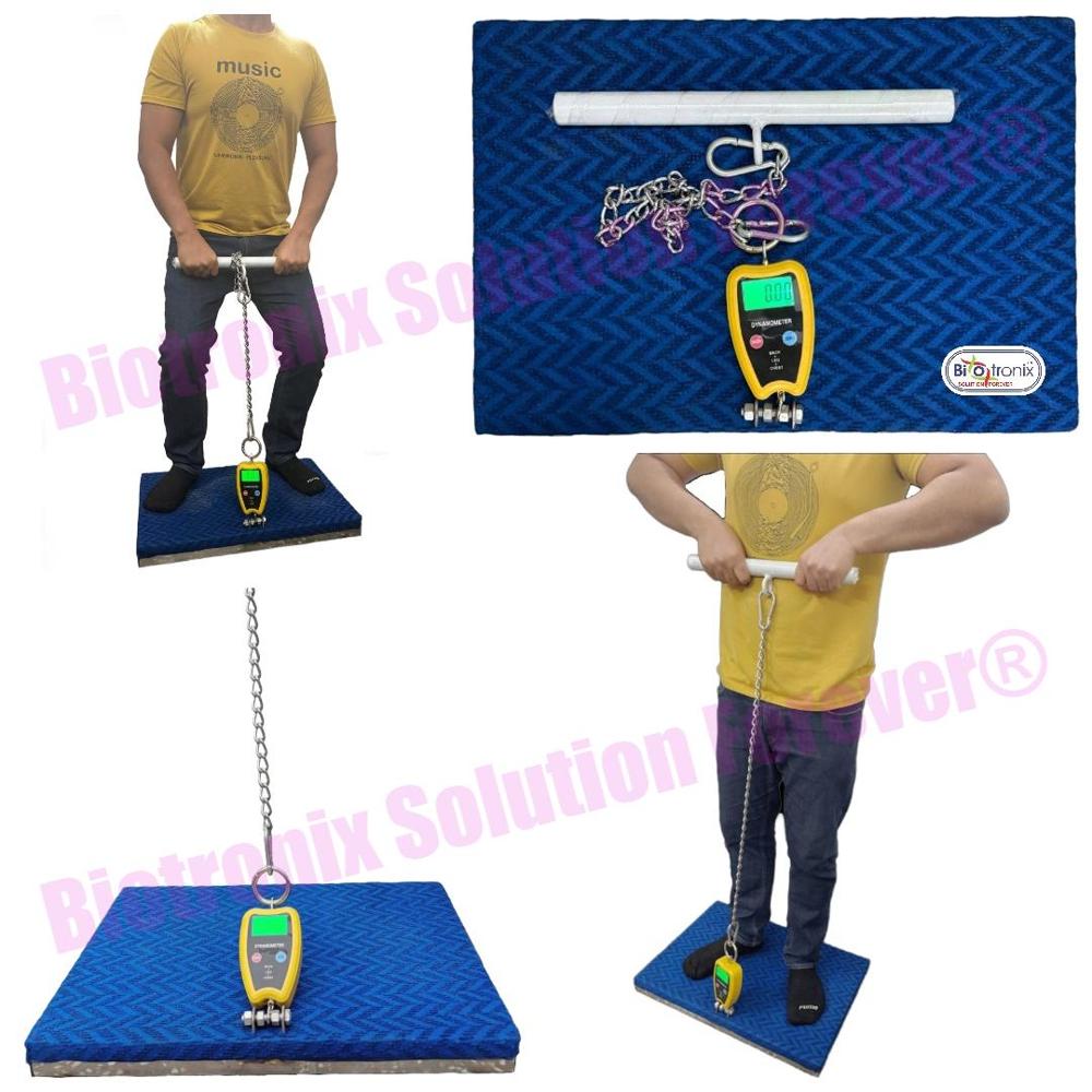 Professional Back Leg Chest Dynamometer for Physiotherapy