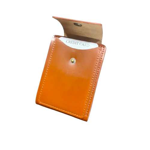 Credit Card Holder