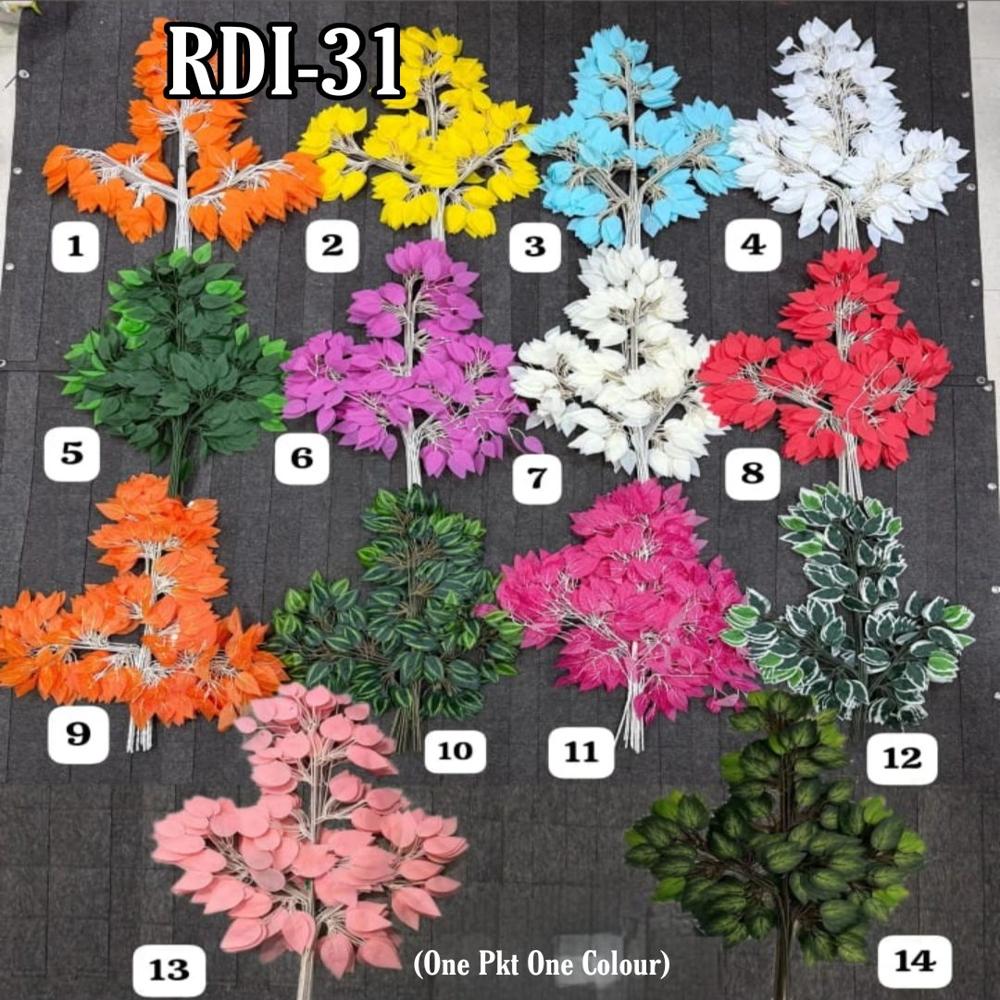 FICUS ( PACK OF 12 )
